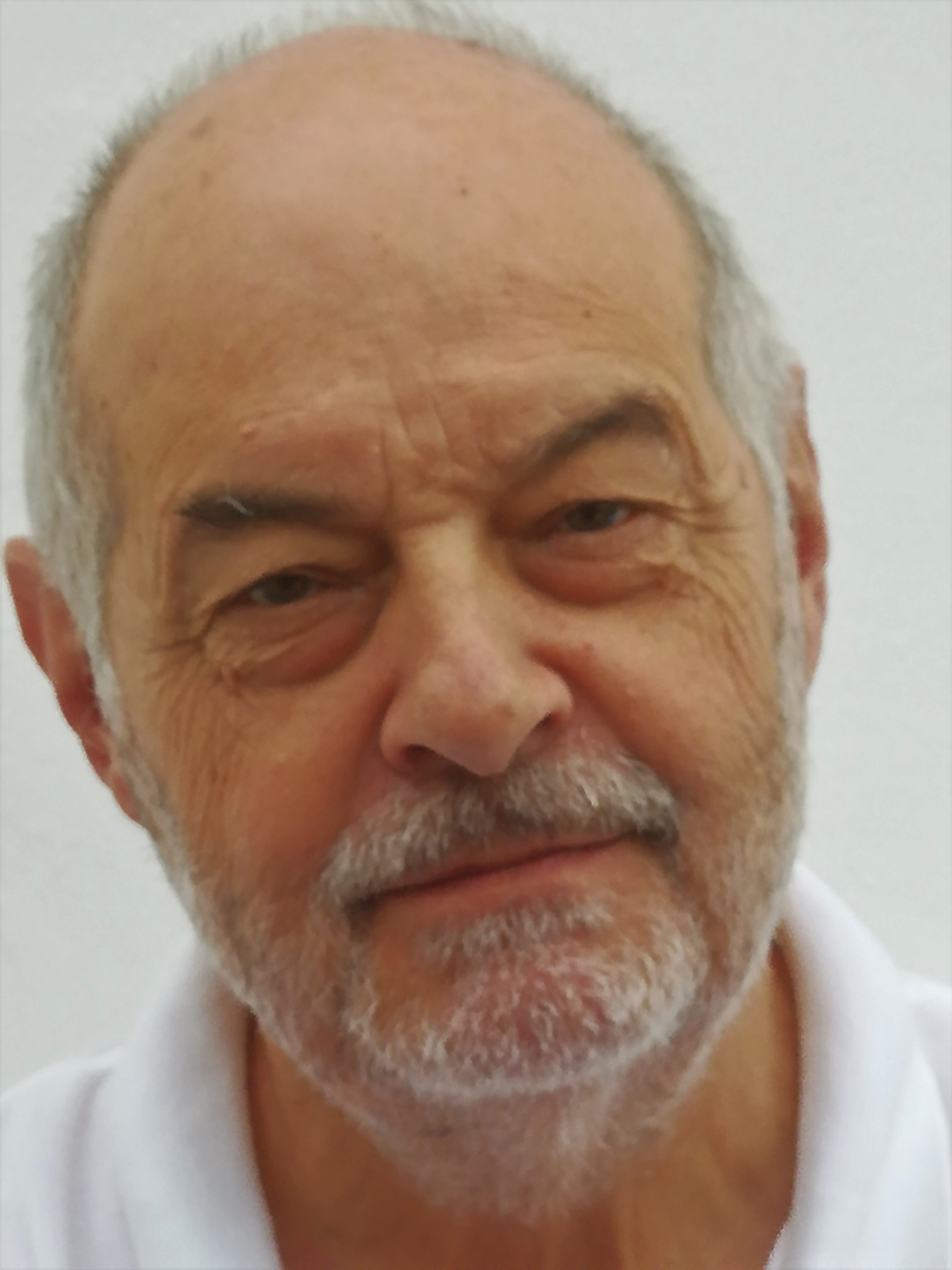 Gesser Reinhold